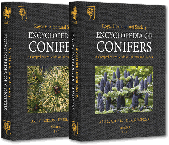 conifer encyclopedia